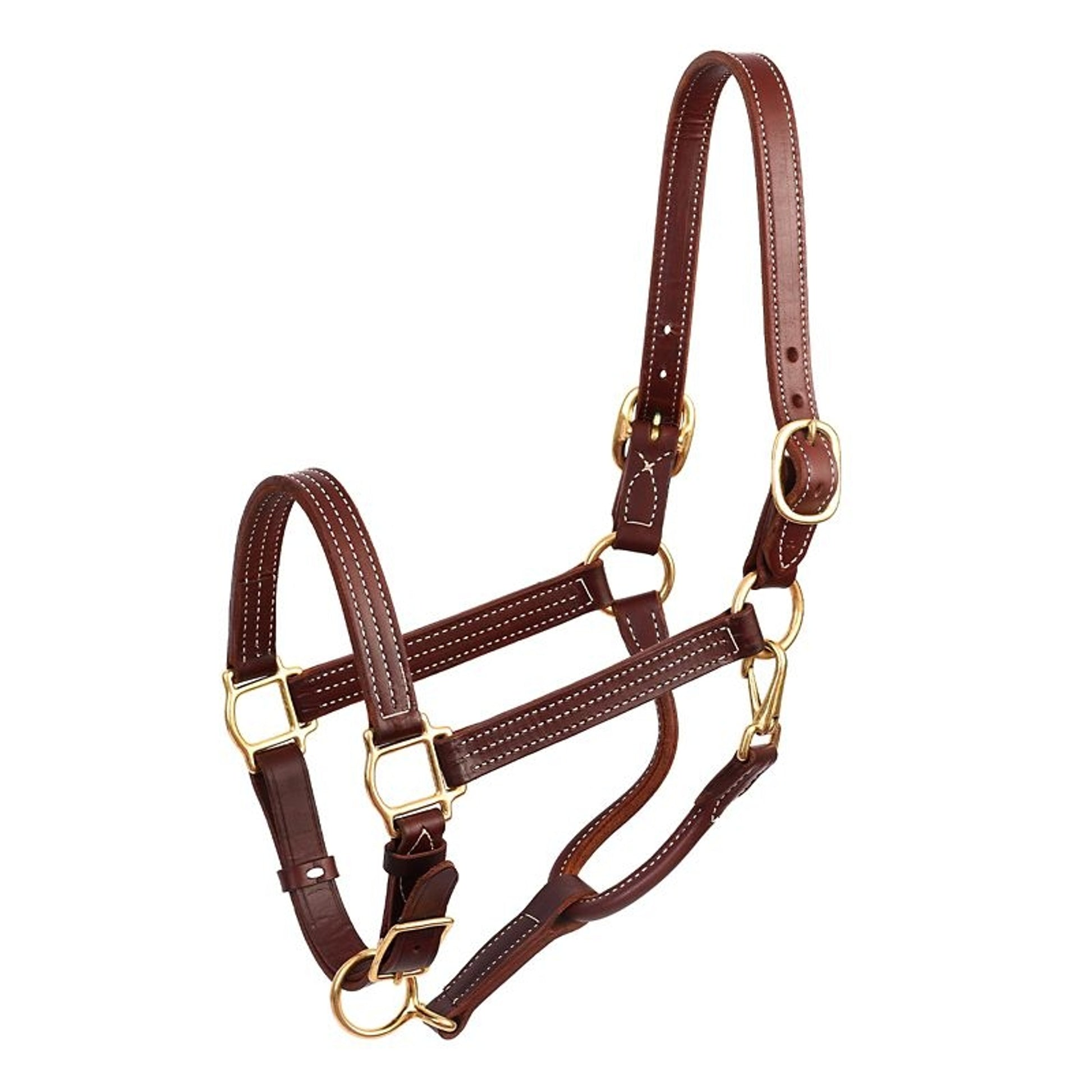 Perris Leather Show Halter