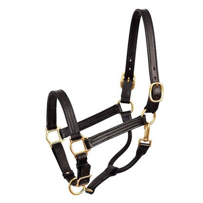 Perris Leather Show Halter