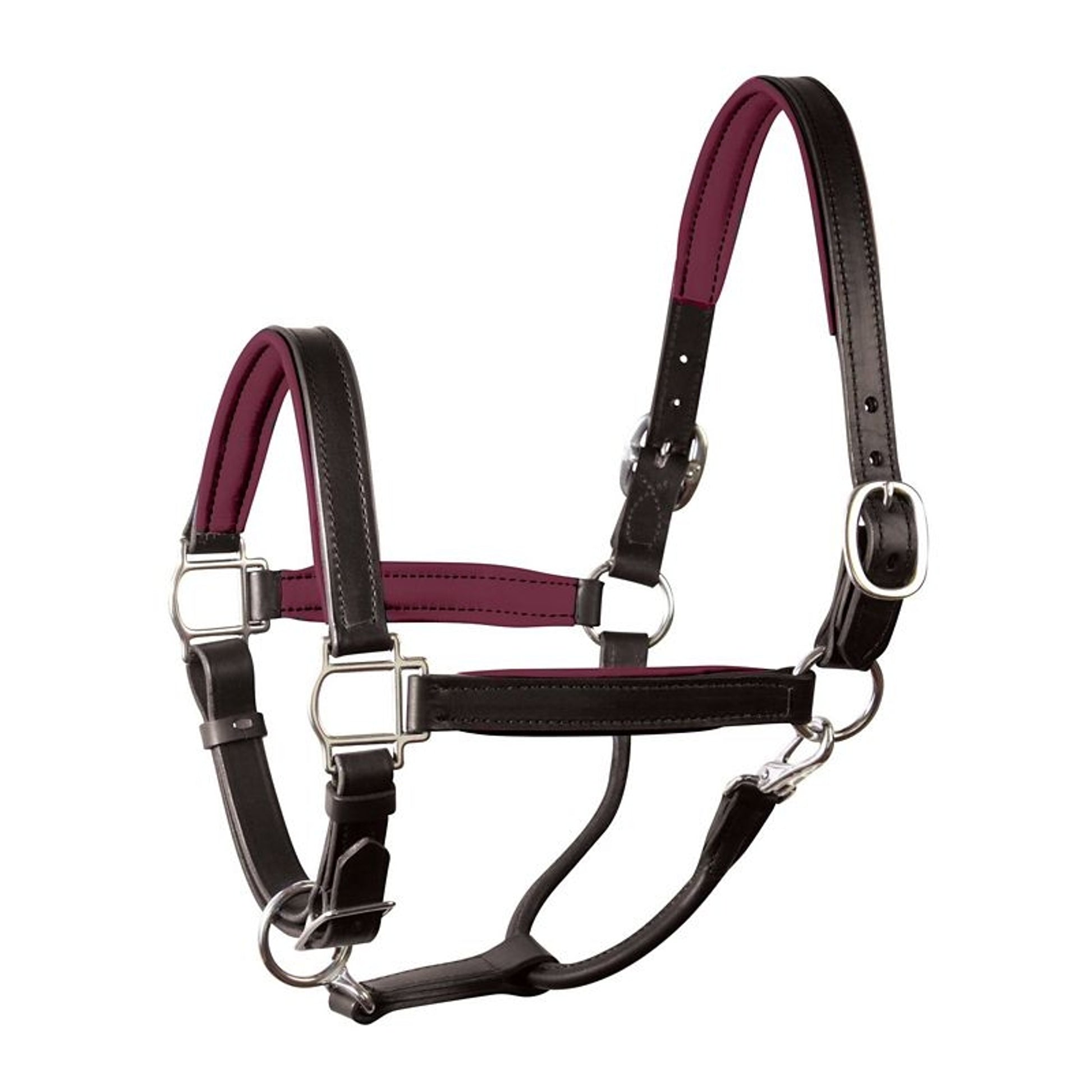 Perri's Personalized Padded Leather Halter