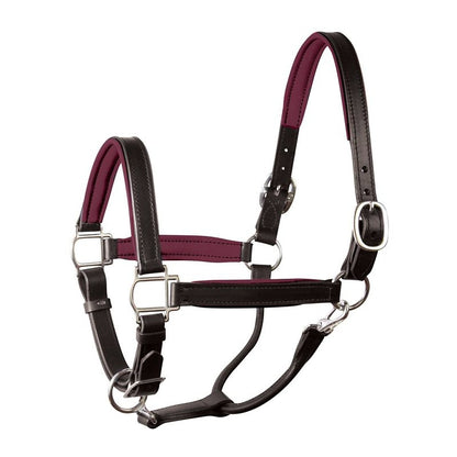 Perri's Personalized Padded Leather Halter