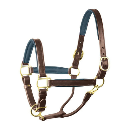 Perri's Personalized Padded Leather Halter