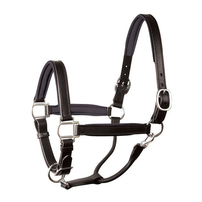 Perri's Soft Padded Leather Halter