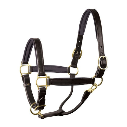 Perri's Soft Padded Leather Halter