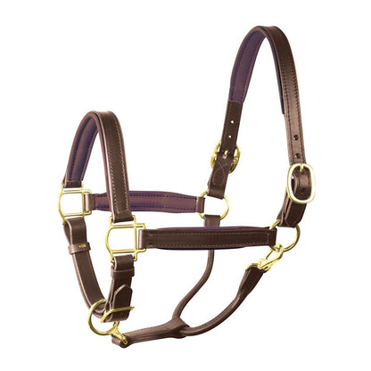 Perri's Personalized Padded Leather Halter