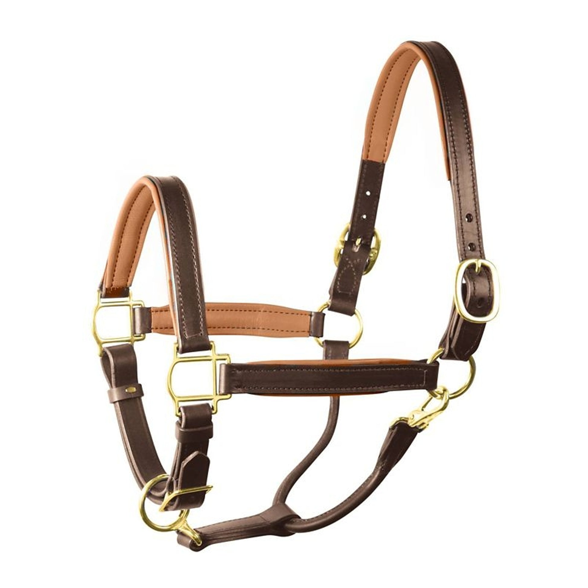 Perri's Soft Padded Leather Halter
