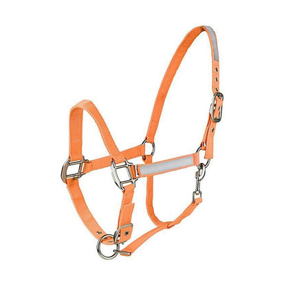 HorZe Reflective Halter Cob Orange