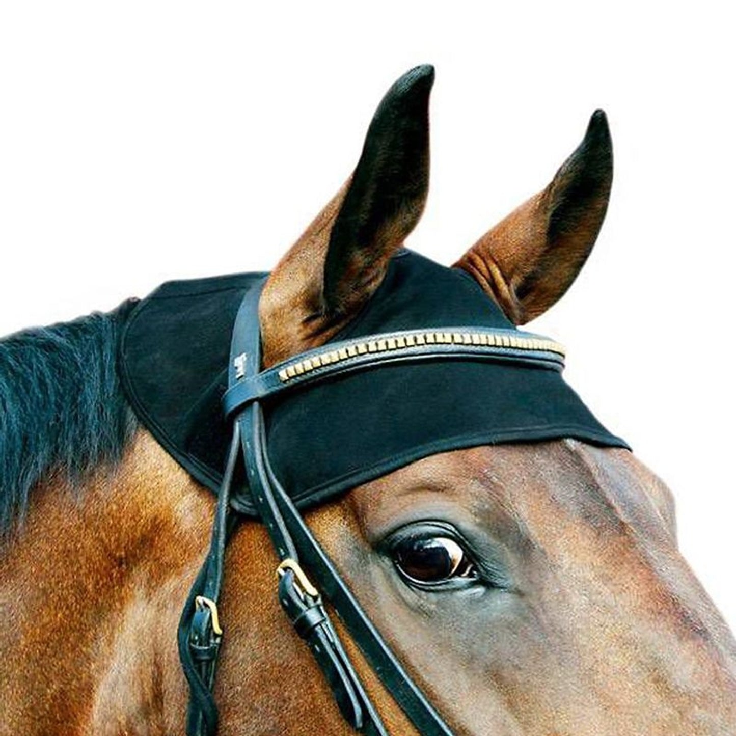 TE042304_P.jpg