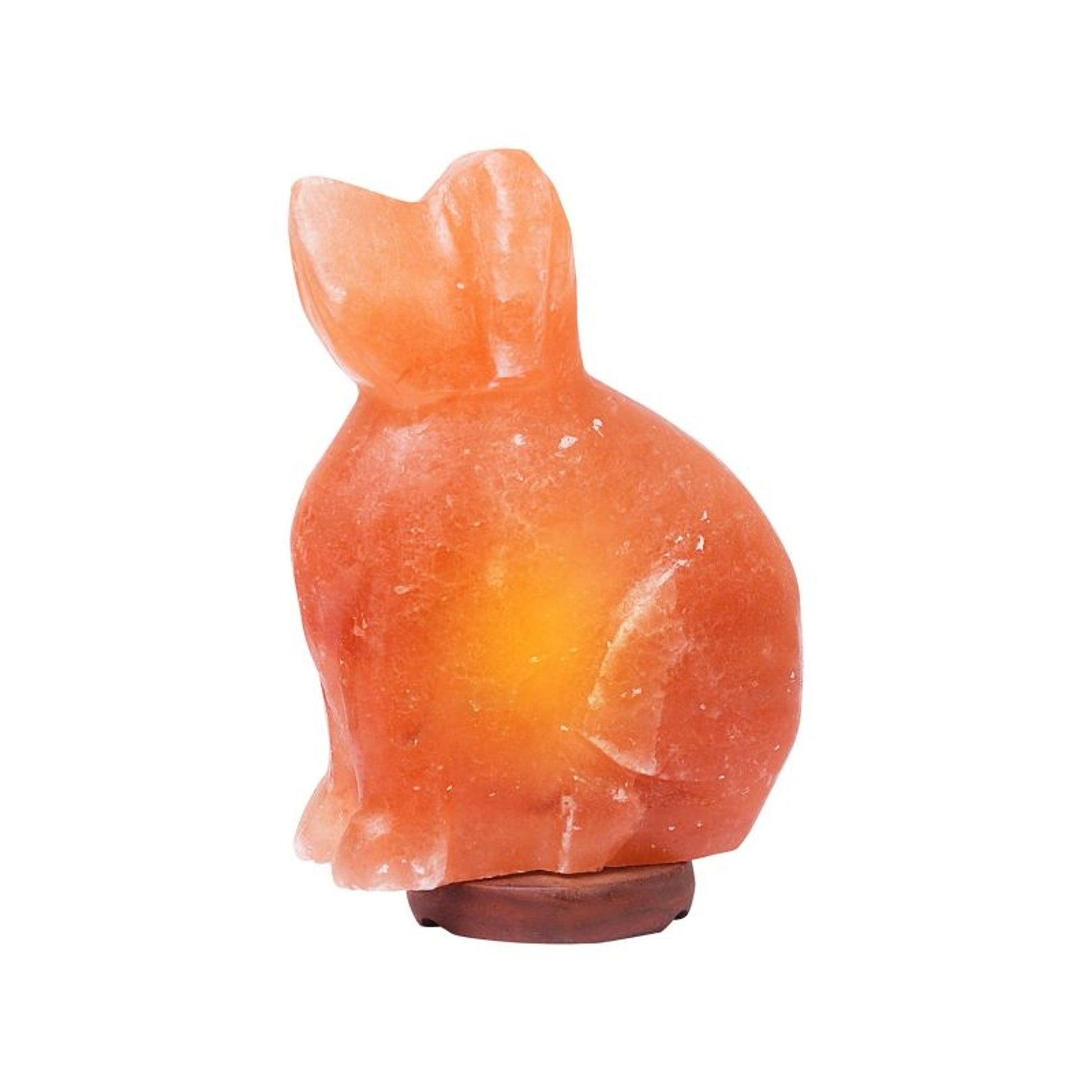 Himalayan Rock Salt Dog Lamp