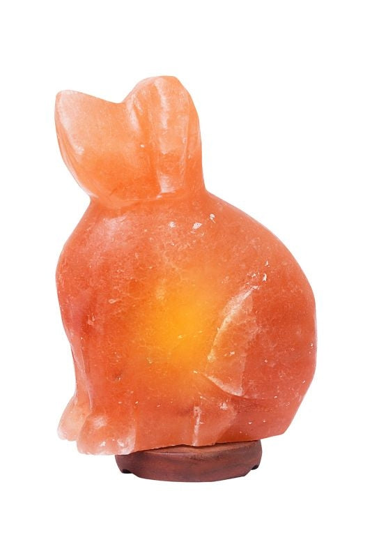 Himalayan Rock Salt Dog Lamp