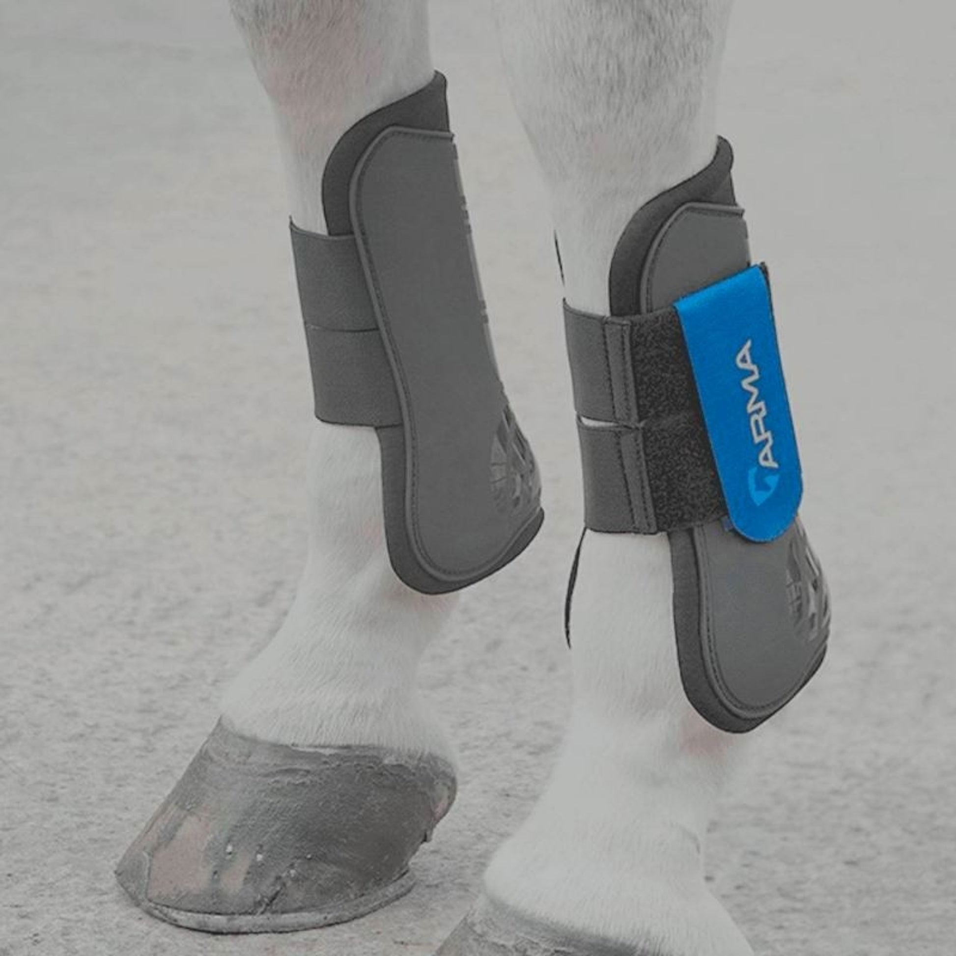 Shires Open Front Tendon Boots