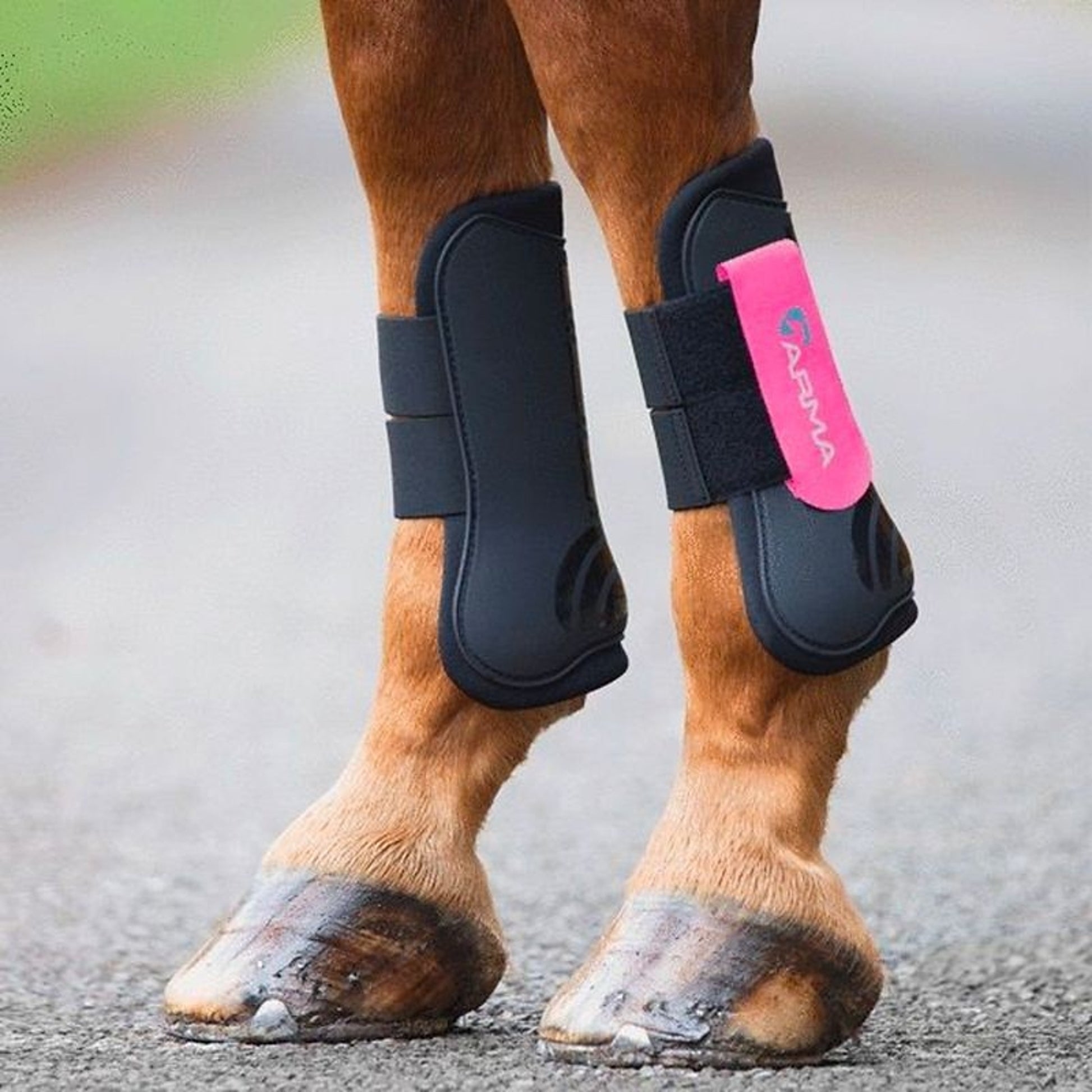 Shires Open Front Tendon Boots