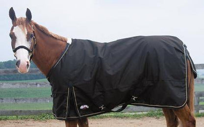 600D Ripstop Waterproof T/O Blanket
