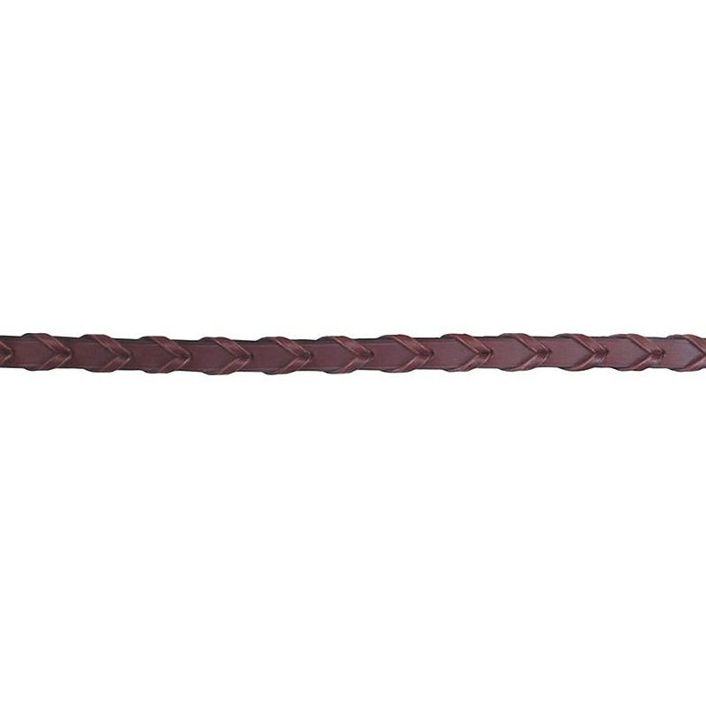 TE045504.jpg