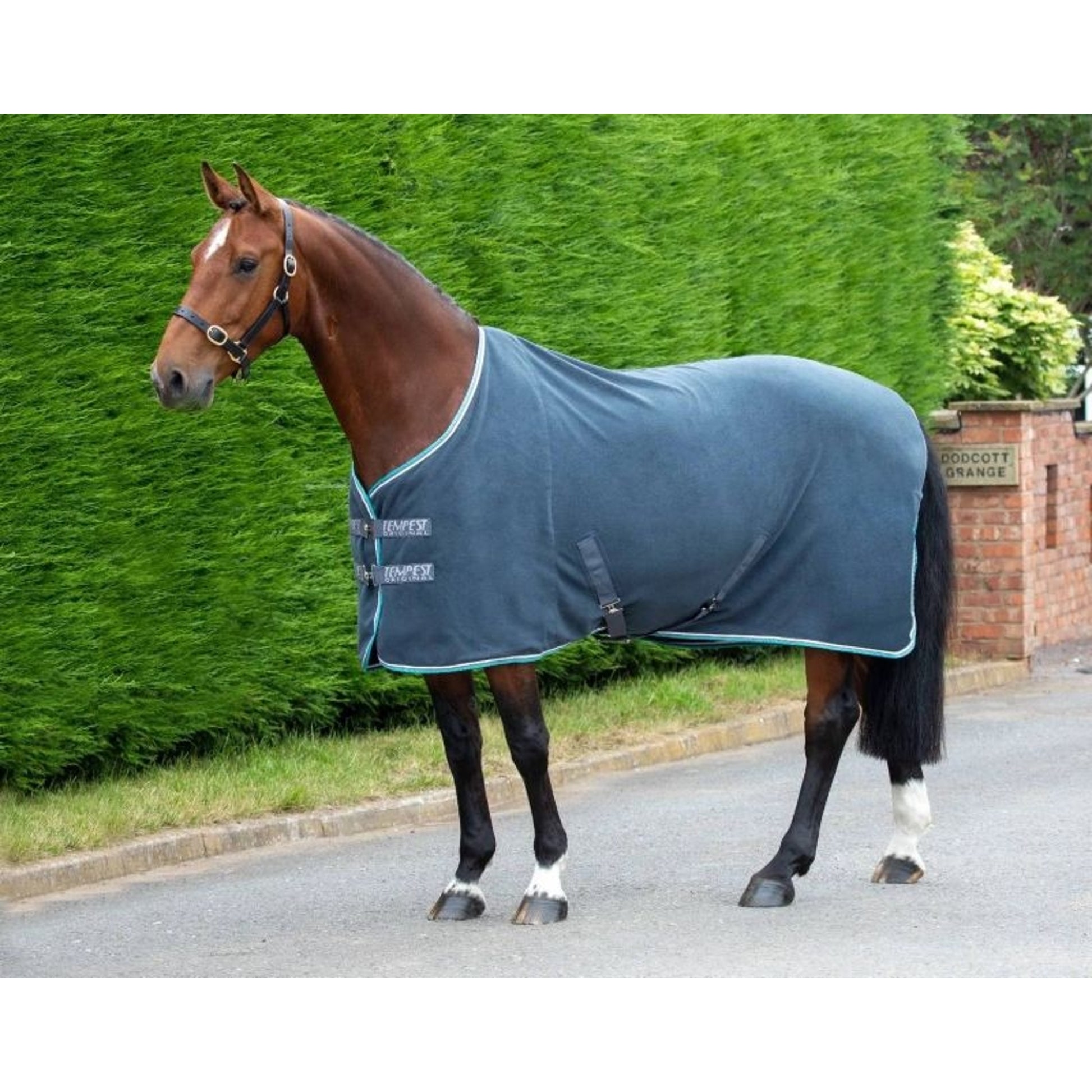 Shires Tempest Fleece Rug