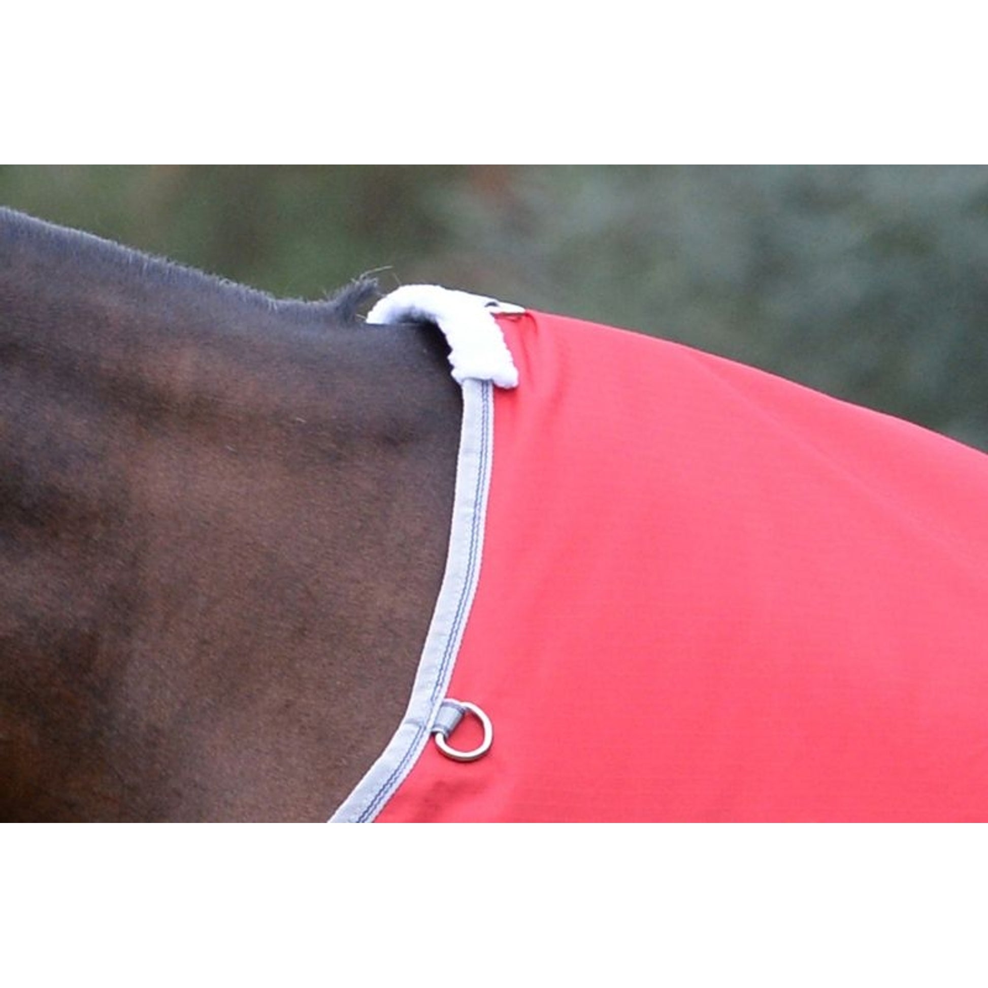 Weatherbeeta ComFiTec Classic Standard Neck Lite Plus Turnout