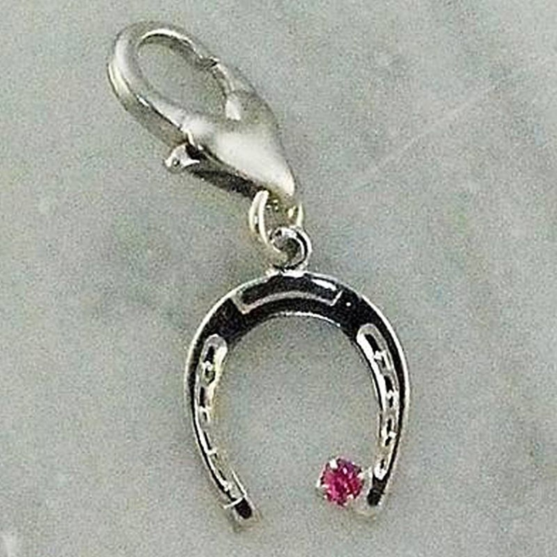 Barbary Horseshoe with Stone CharmCrystal