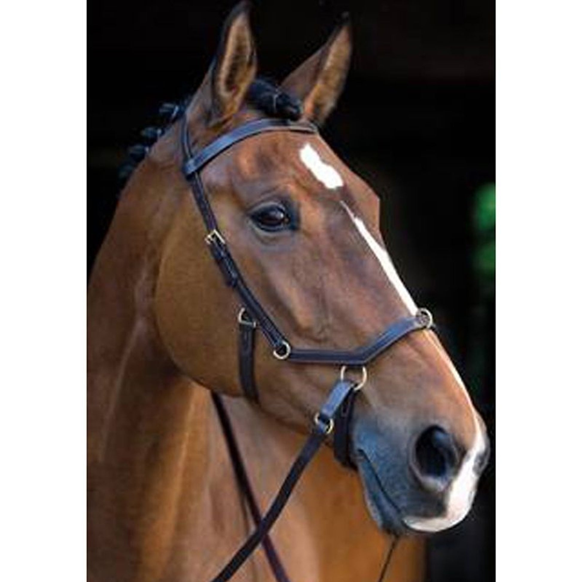 Rambo Micklem Bit Straps 5pr Brass