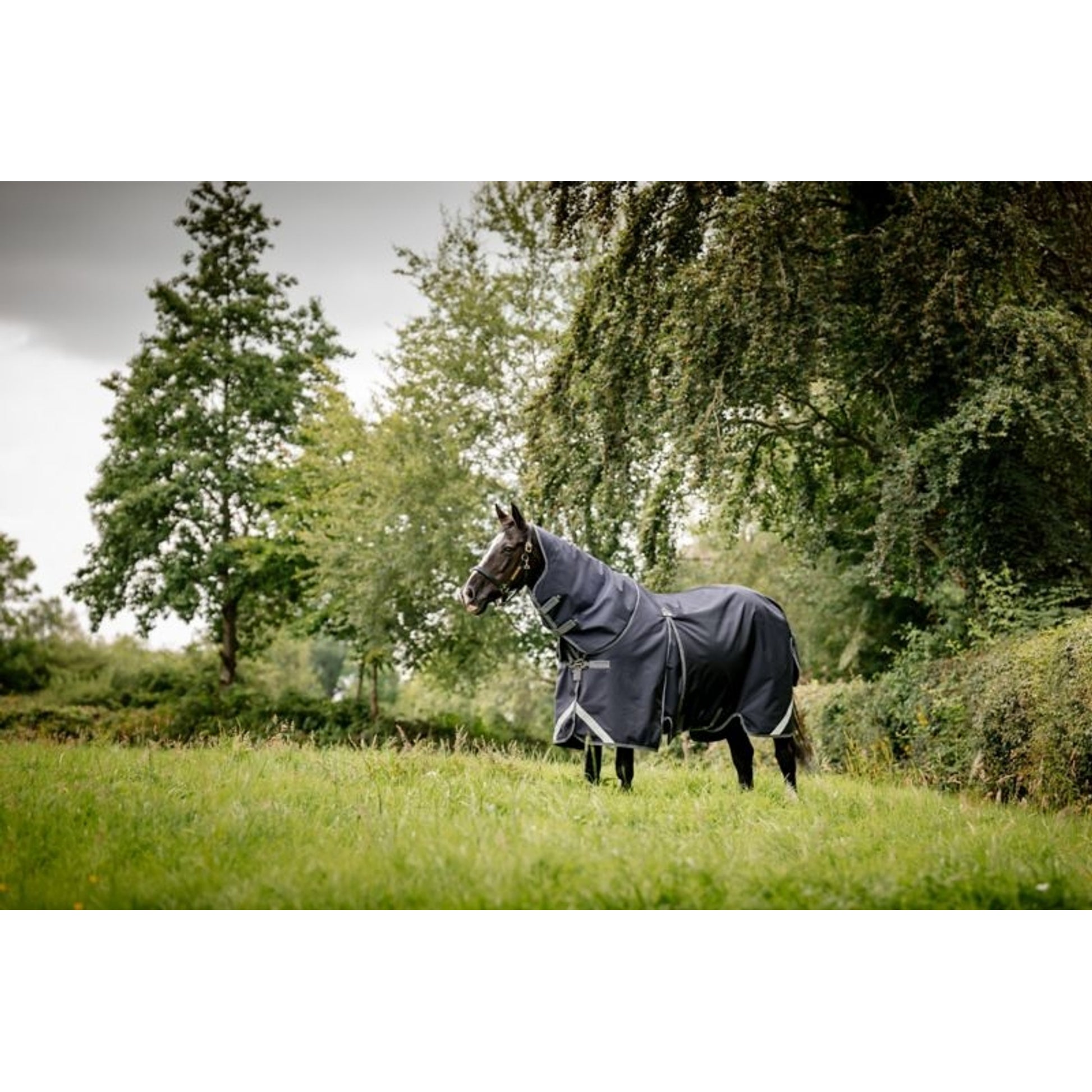 Rambo Optimo Plus Turnout Bundle