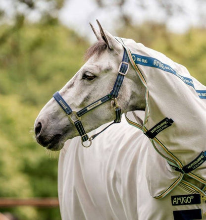 Rambo FIELDSAFE Safety Halter Horse Blue Haze