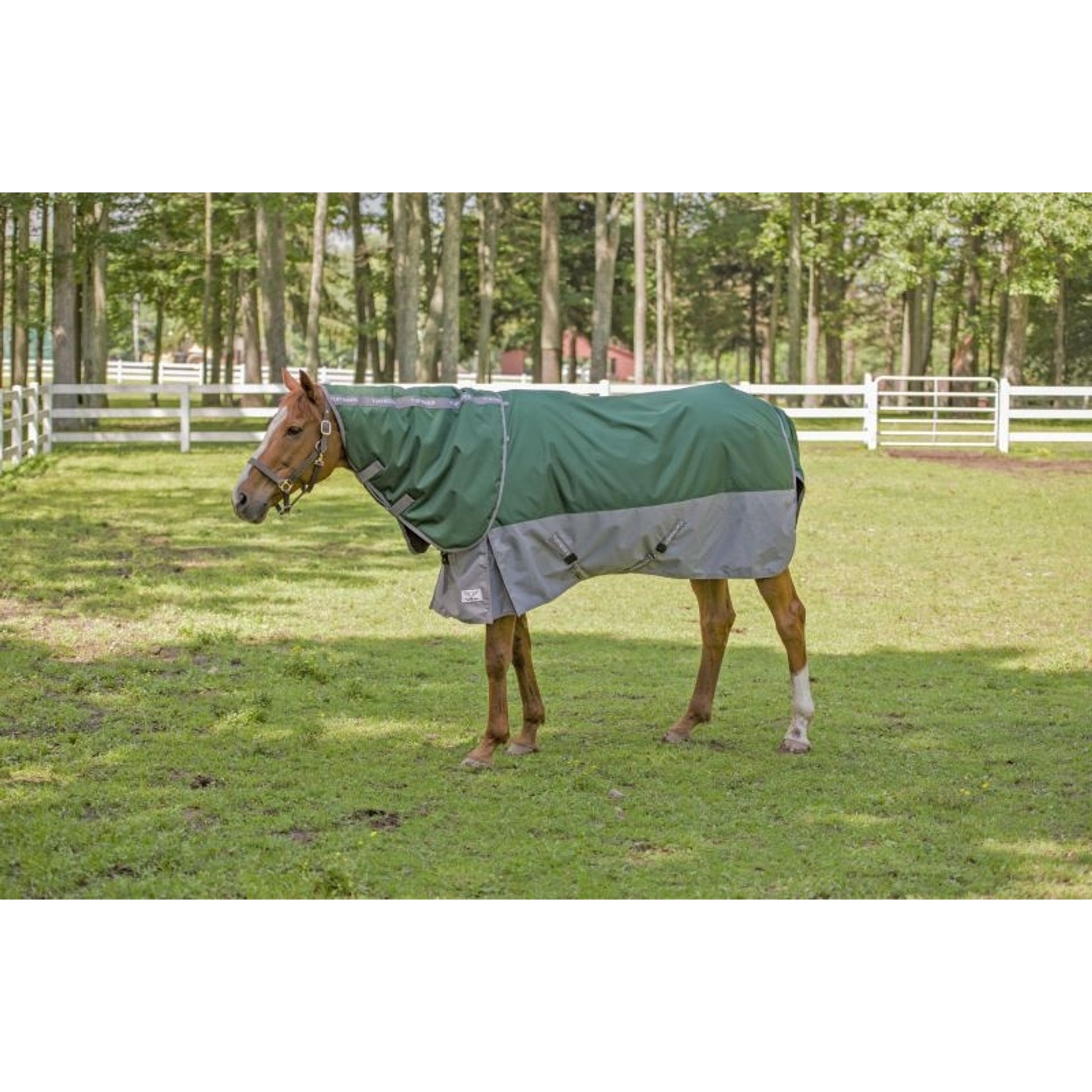 TuffRider Bonum 1200D DAN Turnout 200g