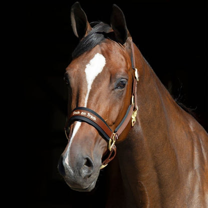 Back on Track Werano Halter