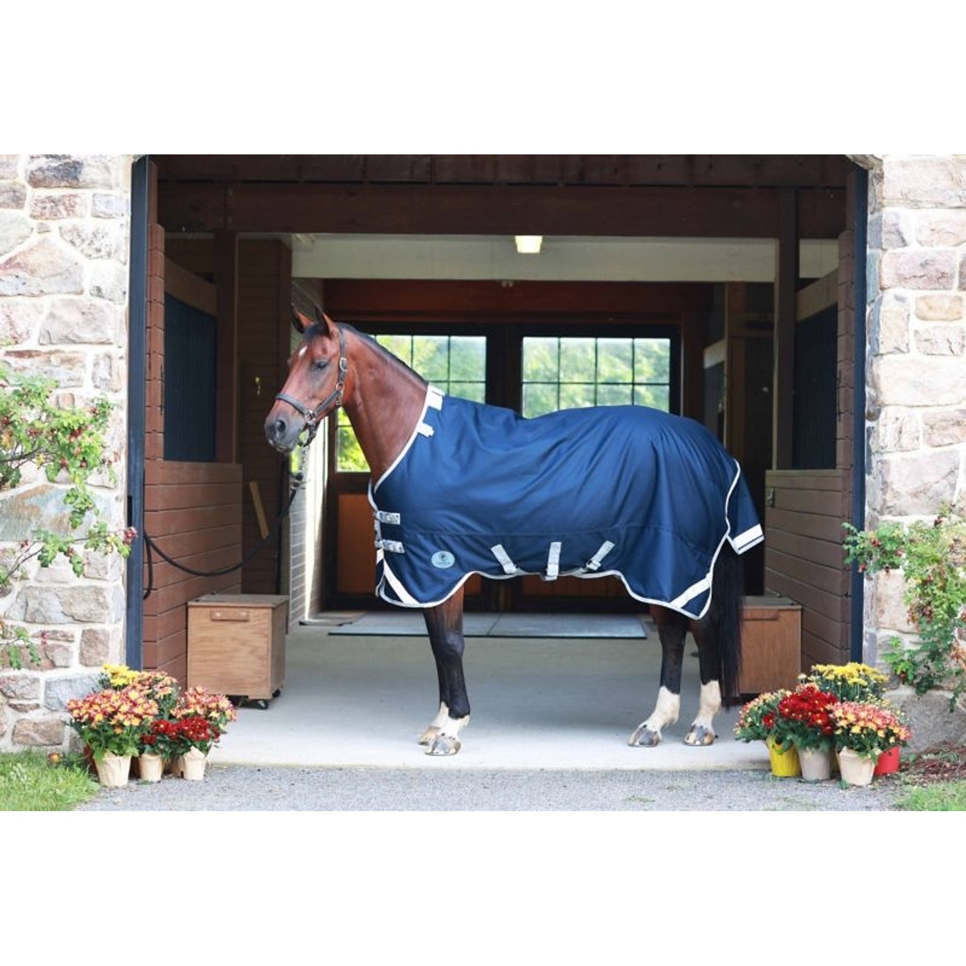 Centaur TG2 Horse Blanket