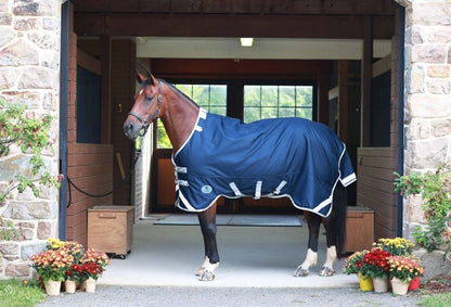 Centaur TG2 Horse Blanket