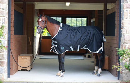 Centaur TG2 Horse Blanket