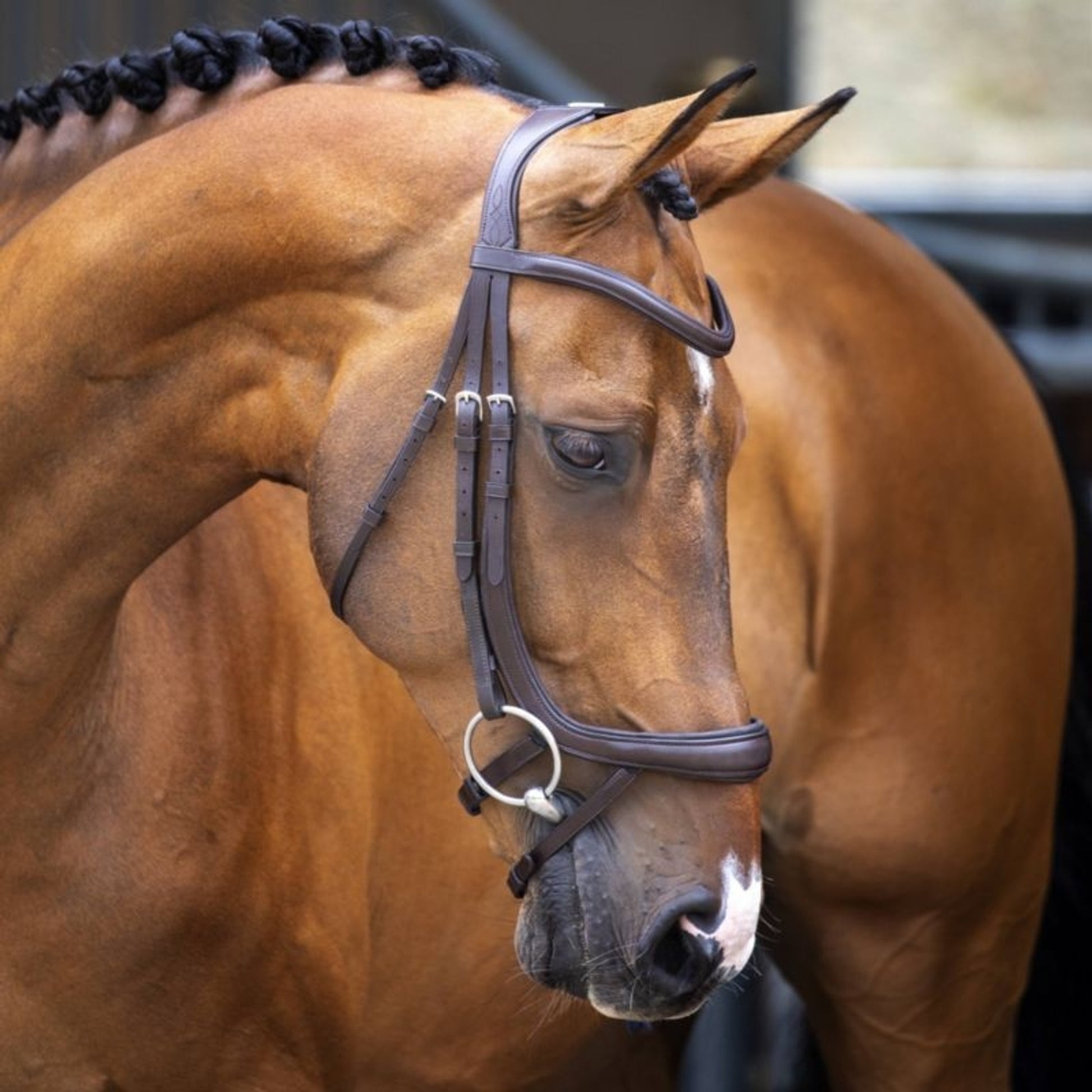 Shires Velociti Ergonomic Curved Flash Bridle