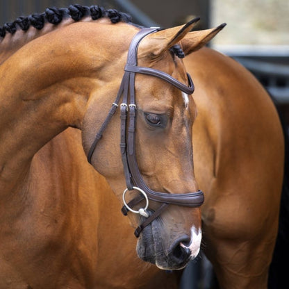 Shires Velociti Ergonomic Curved Flash Bridle