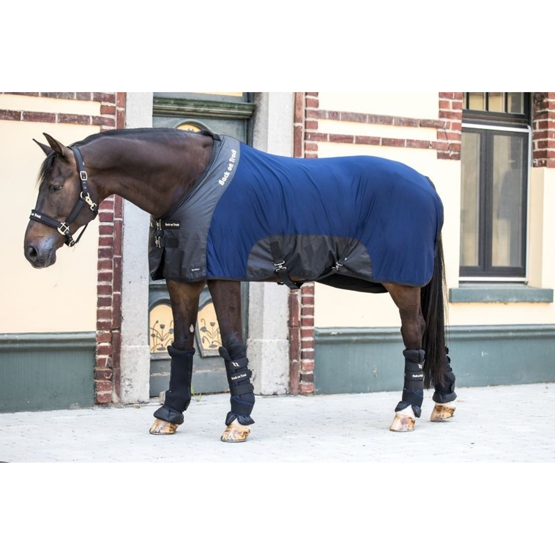 Back on Track Royal Mesh Sheet Deluxe