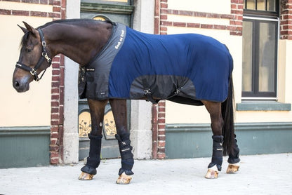 Back on Track Royal Mesh Sheet Deluxe