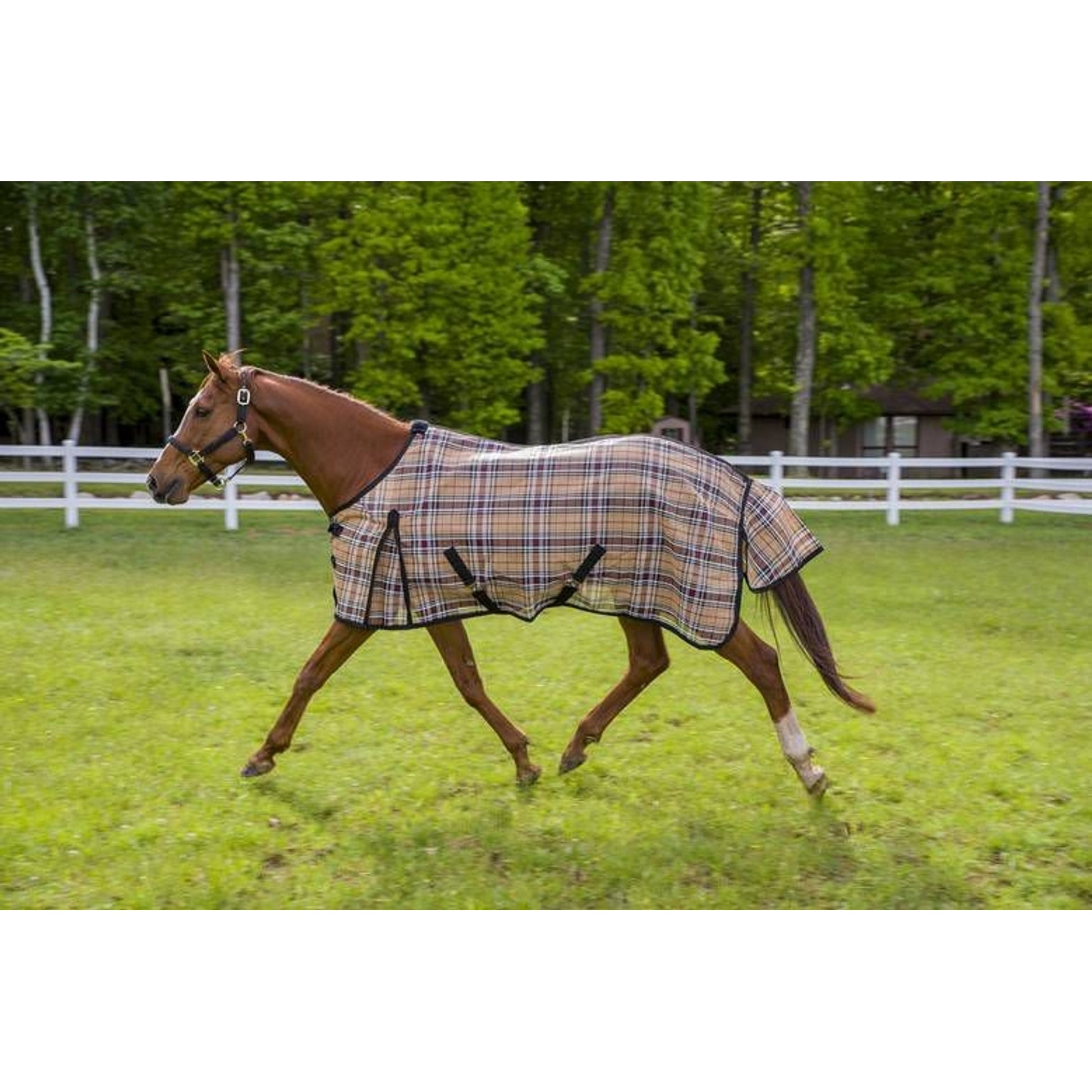 Tuffrider Flyshield Sheet Blue Plaid 69