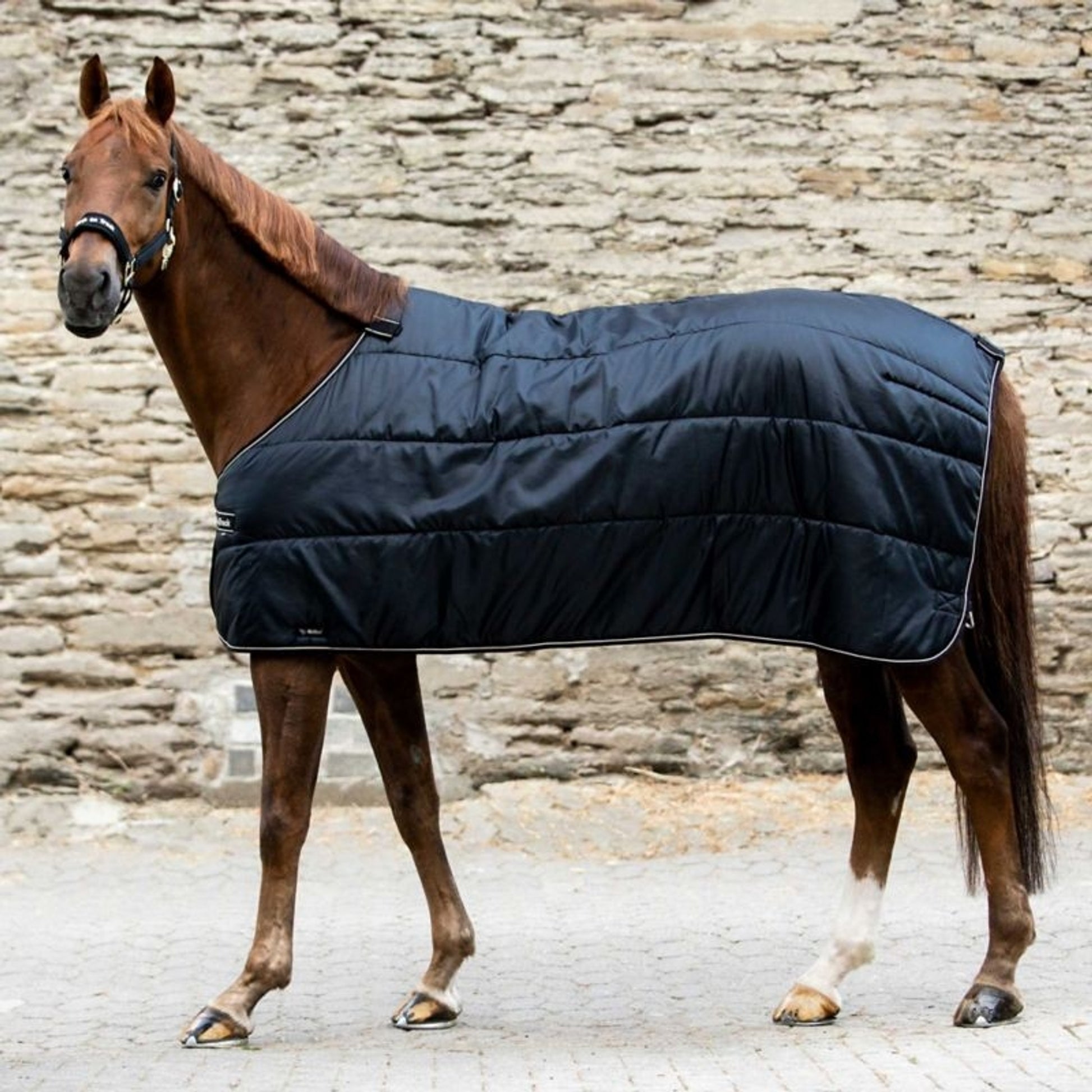 Back on Track Rhyolite Insulated Liner 100g