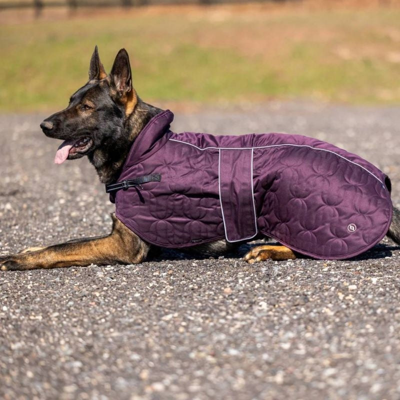 Back on Track Deep Nights Dog Coat