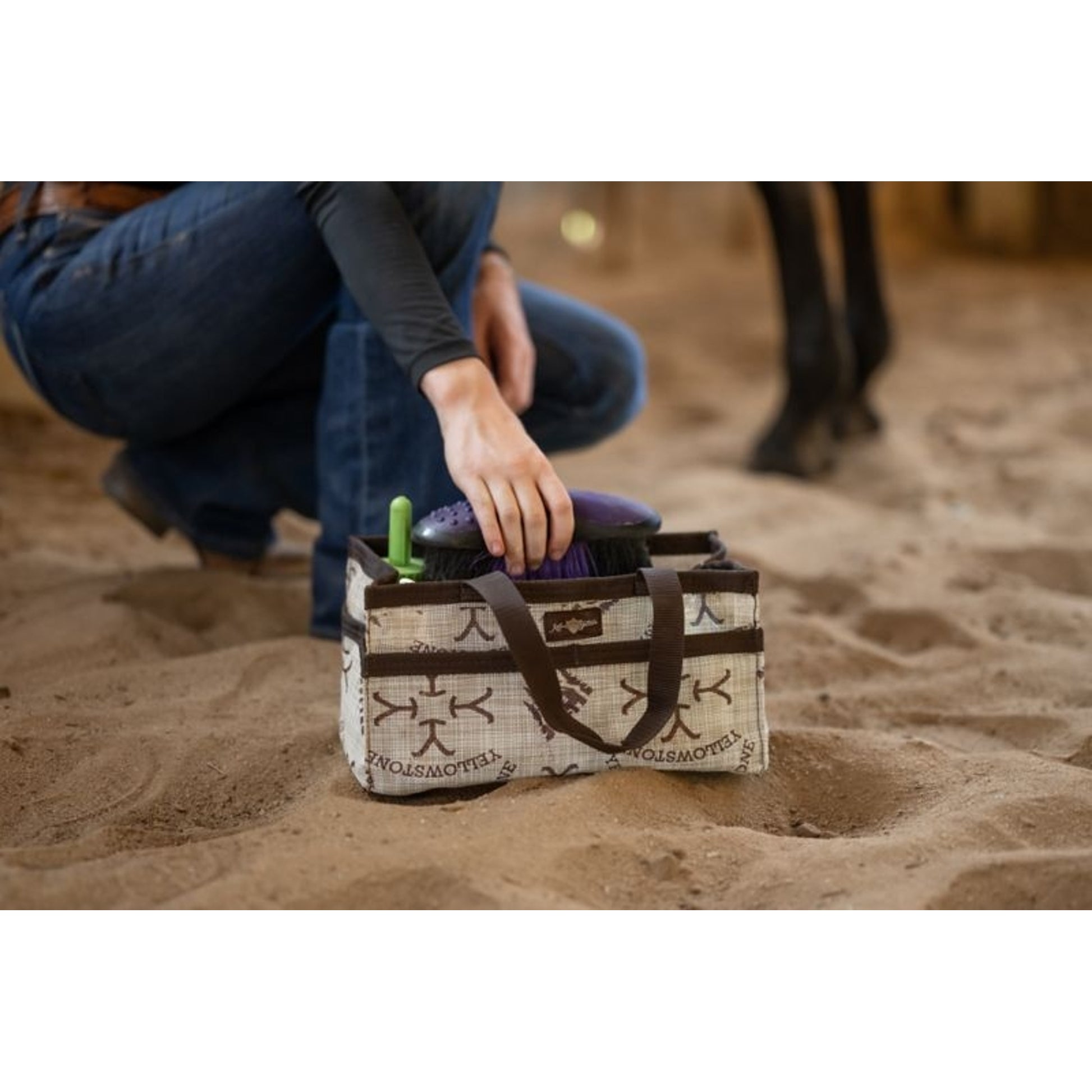 Kensington Grooming Tote