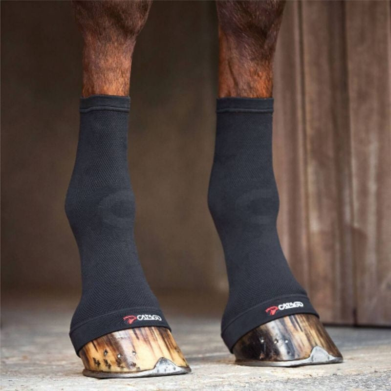 Catago Fir Tech Fetlock Socks Black One Size
