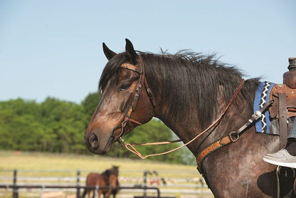 Floral Buckstitch B/Band Headstall