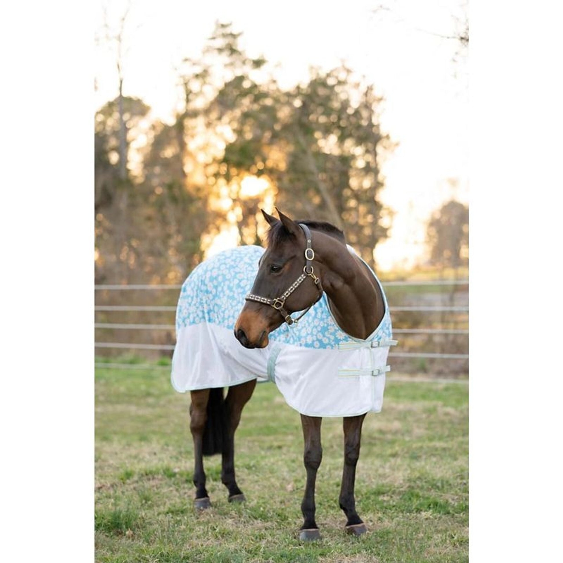 TuffRider Comfy Plus Fly Sheet Daisy Print