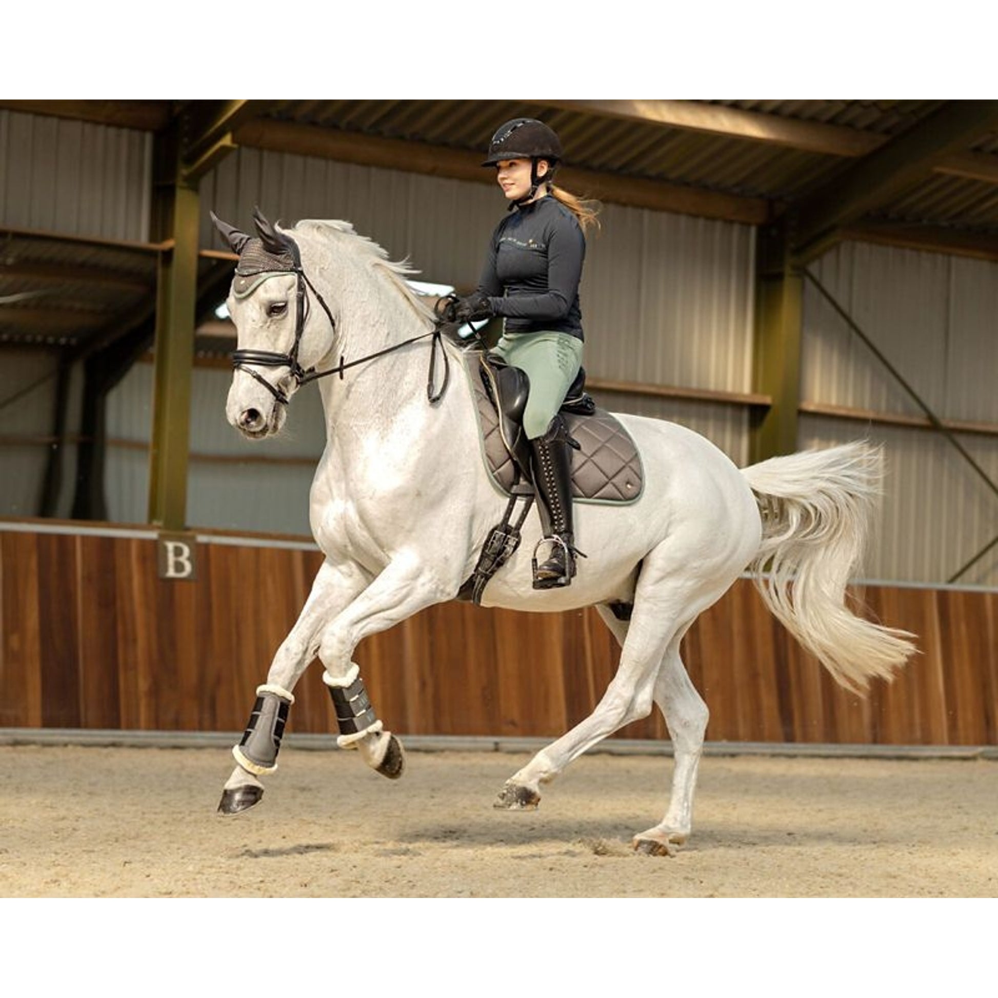 QHP Ladies Equestrian Dream FG Riding Tights