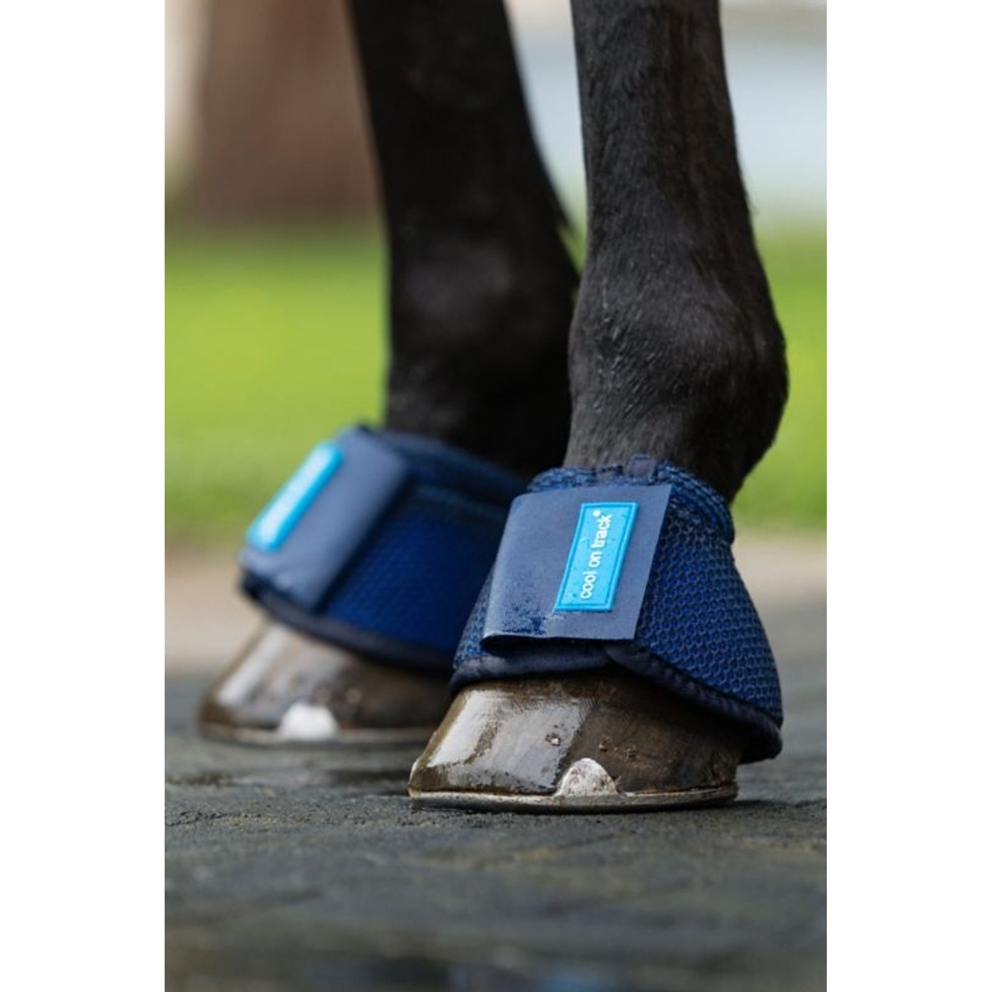 BOT Cool on Track Bell Boots