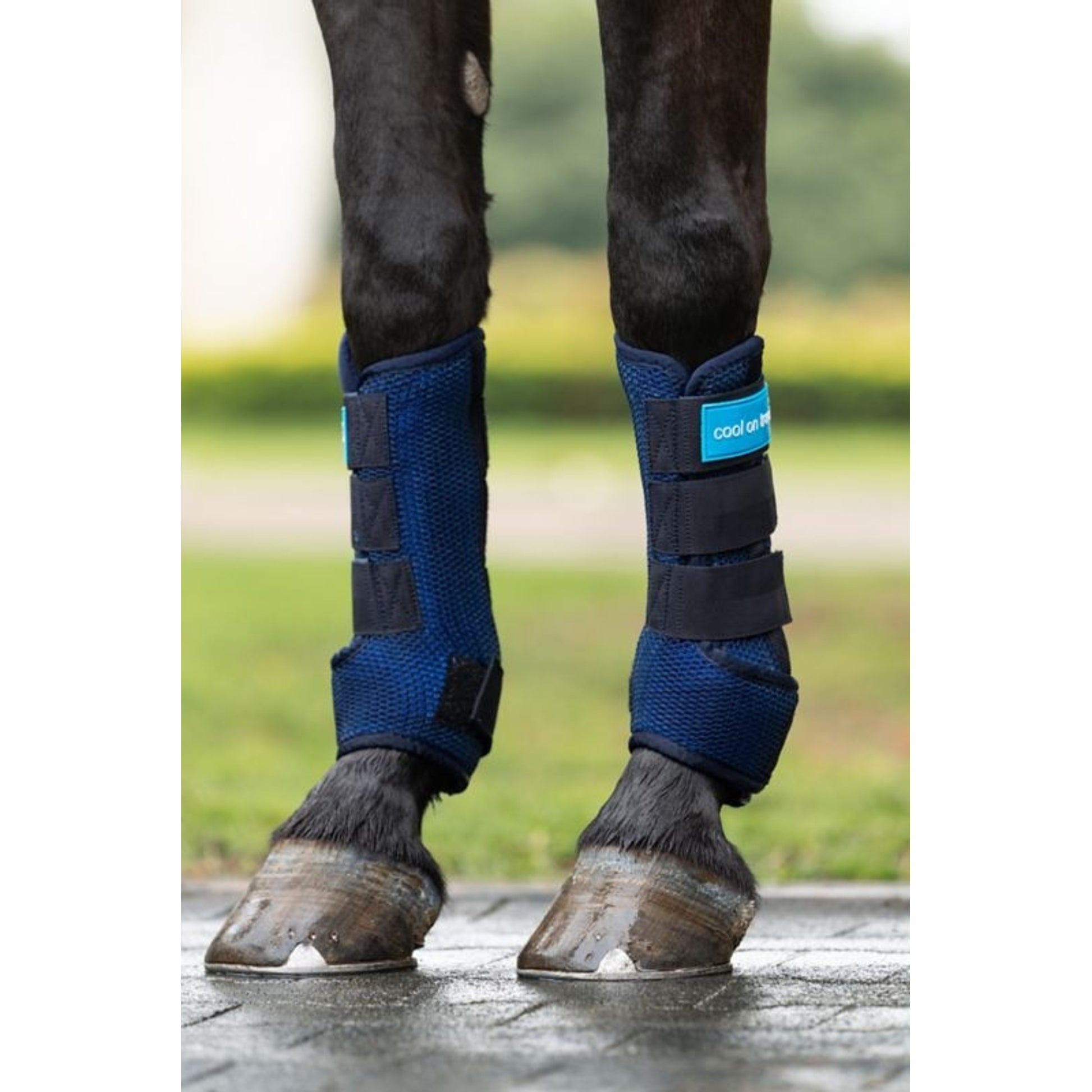 BOT Cool on Track Quick Wraps