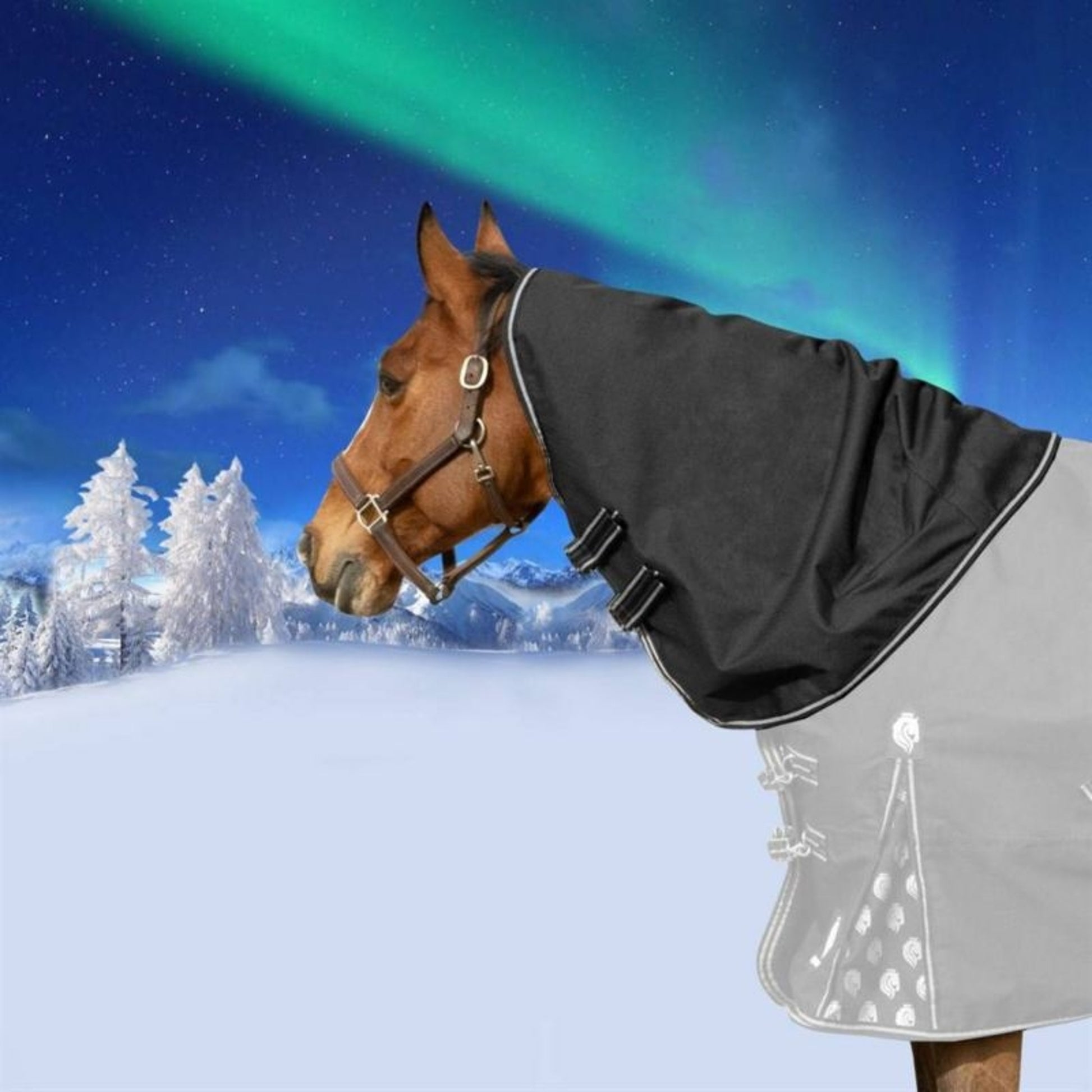 Equinavia Norse Neck Cover No Fill