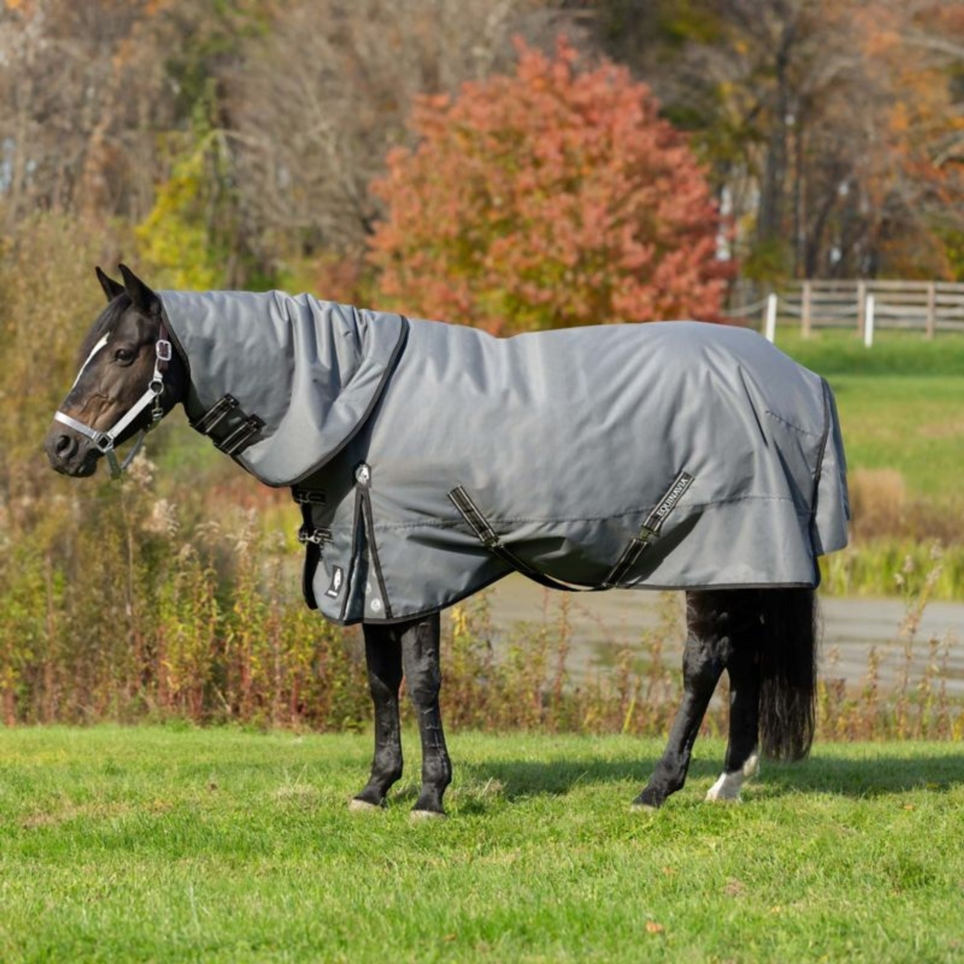 Equinavia Arktis TO Blanket 200g