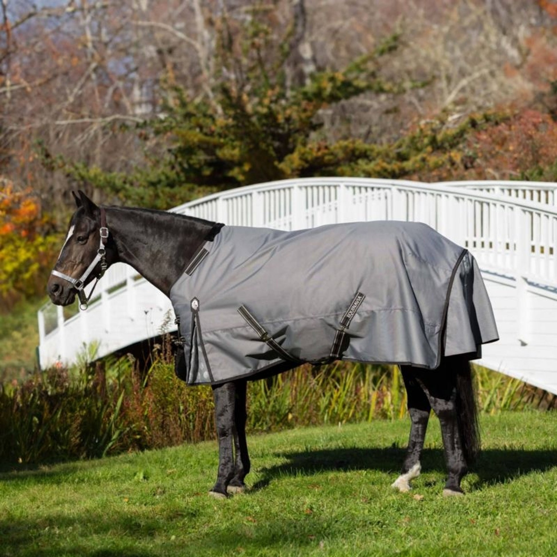 Equinavia Arktis TO Blanket 300g