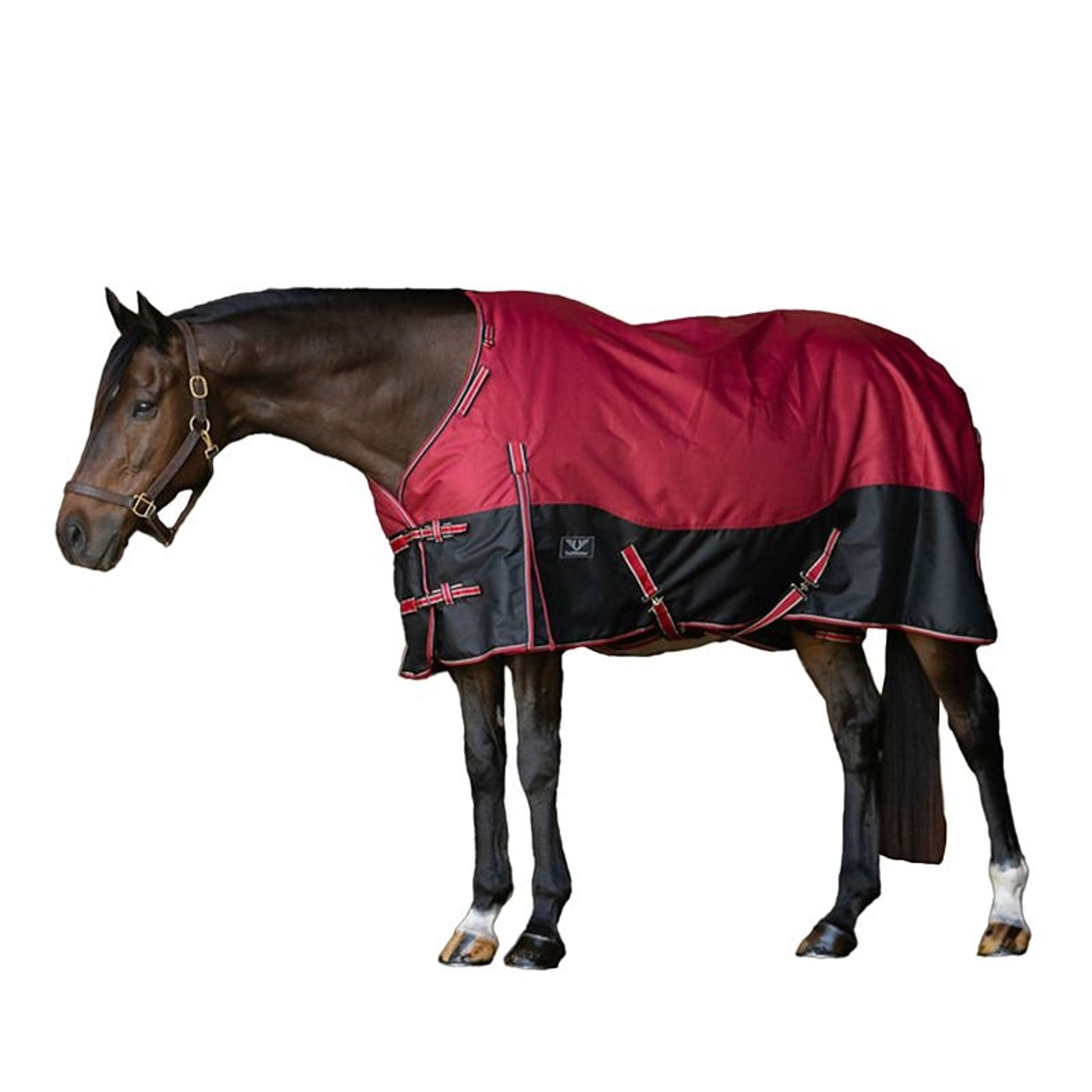 TuffRider Comfy Fit 1200D TO AdjustaNeck