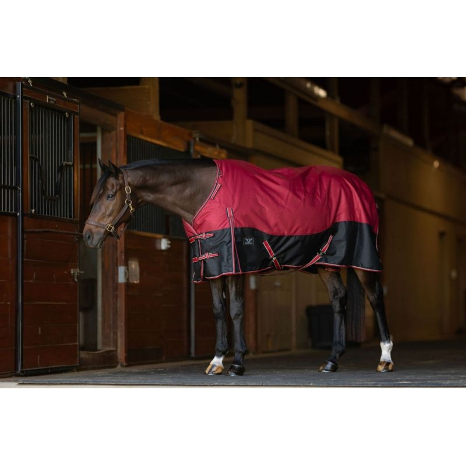 TuffRider Comfy Fit 1200D TO AdjustaNeck
