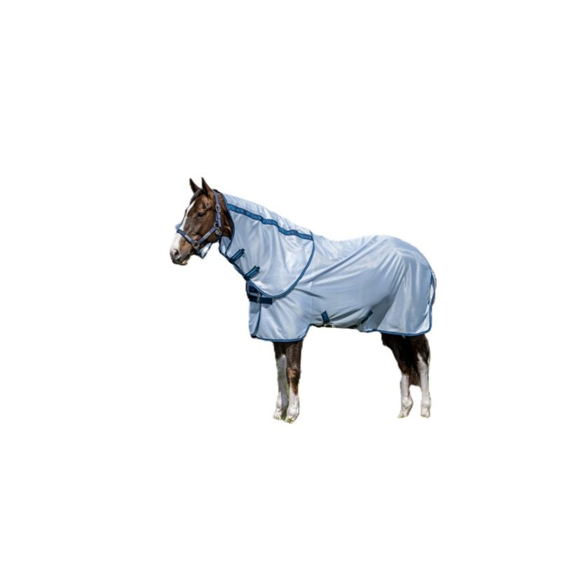Amigo Bug Rug Plus