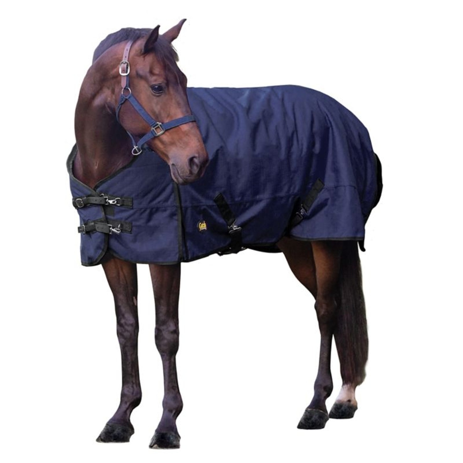 Gatsby 600D WP Ripstop T/0 HW Blanket