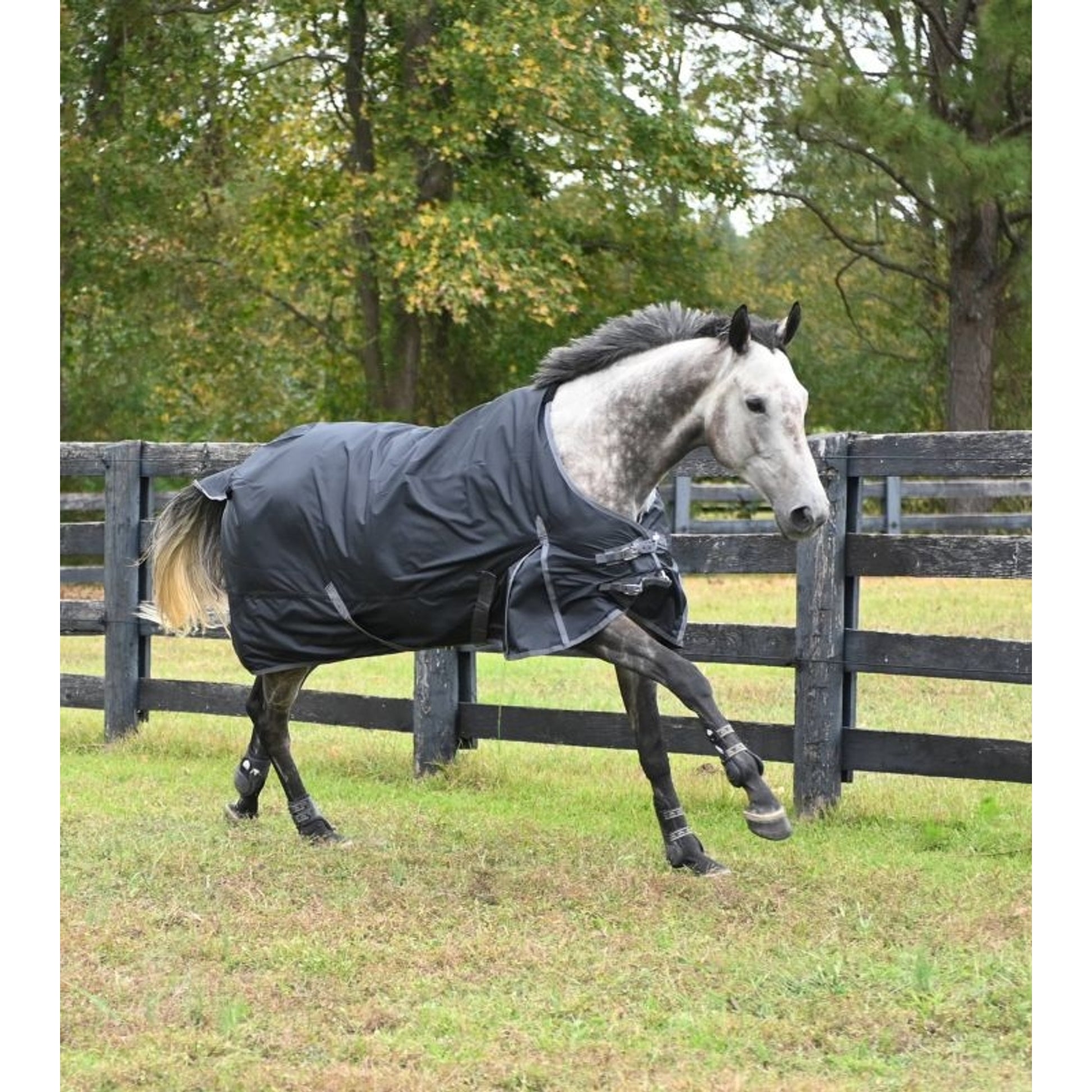 Gatsby 600D Waterproof Turnout Sheet